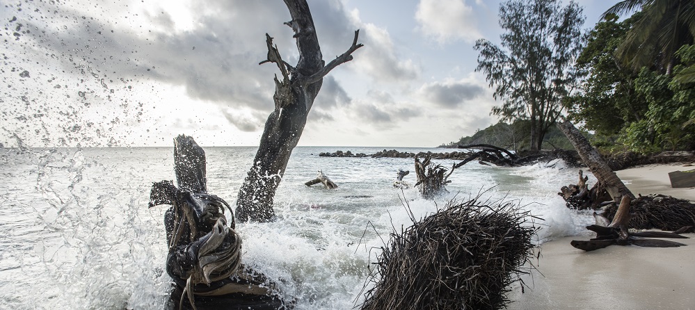 climate change in the Pacific